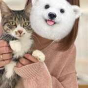 ヒメ日記 2025/04/03 19:46 投稿 日向りせ 甲府回春アロマージュ