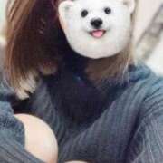 ヒメ日記 2025/04/08 11:29 投稿 日向りせ 甲府回春アロマージュ