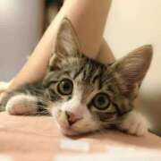 ヒメ日記 2025/04/09 00:19 投稿 日向りせ 甲府回春アロマージュ