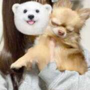 ヒメ日記 2025/04/24 11:30 投稿 日向りせ 甲府回春アロマージュ