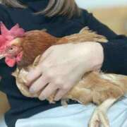 ヒメ日記 2025/06/30 11:54 投稿 日向りせ 甲府回春アロマージュ