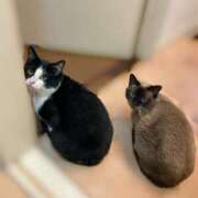 日向りせ かわいい 甲府回春アロマージュ