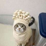 日向りせ 来週の予定と 甲府回春アロマージュ