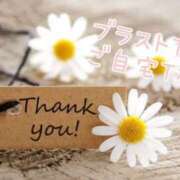 ヒメ日記 2024/12/15 16:33 投稿 なお 奥様メモリアル