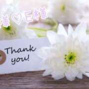 ヒメ日記 2024/12/17 19:18 投稿 なお 奥様メモリアル