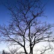 ヒメ日記 2025/01/09 23:09 投稿 なお 奥様メモリアル