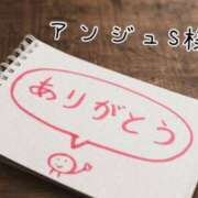 ヒメ日記 2025/01/21 15:18 投稿 なお 奥様メモリアル