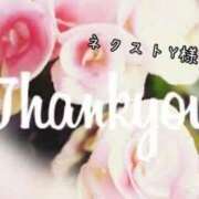 ヒメ日記 2025/02/22 16:03 投稿 なお 奥様メモリアル