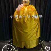 ヒメ日記 2025/03/19 22:33 投稿 なお 奥様メモリアル