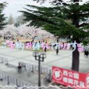 ヒメ日記 2025/04/13 11:12 投稿 なお 奥様メモリアル