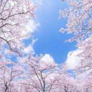 ヒメ日記 2025/04/14 17:18 投稿 なお 奥様メモリアル