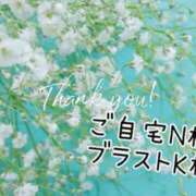 ヒメ日記 2025/04/17 16:33 投稿 なお 奥様メモリアル