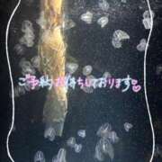 ヒメ日記 2025/05/06 20:48 投稿 なお 奥様メモリアル