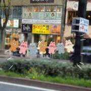 ヒメ日記 2025/05/15 18:18 投稿 なお 奥様メモリアル