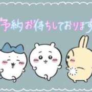 ヒメ日記 2025/06/06 00:03 投稿 なお 奥様メモリアル