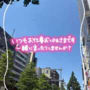 ヒメ日記 2025/06/06 09:33 投稿 なお 奥様メモリアル