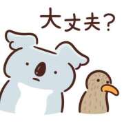 ヒメ日記 2025/07/02 12:42 投稿 なお 奥様メモリアル