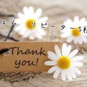 ヒメ日記 2025/07/02 21:09 投稿 なお 奥様メモリアル