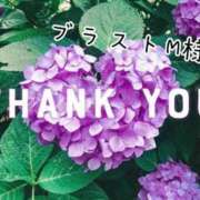 ヒメ日記 2025/07/03 13:21 投稿 なお 奥様メモリアル