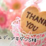 ヒメ日記 2025/08/31 15:42 投稿 なお 奥様メモリアル