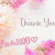 ヒメ日記 2025/10/04 13:36 投稿 なお 奥様メモリアル