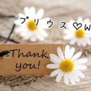 ヒメ日記 2025/10/19 13:33 投稿 なお 奥様メモリアル