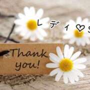 ヒメ日記 2025/10/19 13:48 投稿 なお 奥様メモリアル