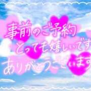 ヒメ日記 2025/11/11 09:33 投稿 なお 奥様メモリアル
