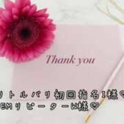 ヒメ日記 2025/11/22 16:18 投稿 なお 奥様メモリアル