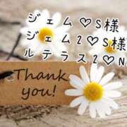 ヒメ日記 2025/12/16 09:27 投稿 なお 奥様メモリアル