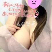 ヒメ日記 2025/12/20 09:48 投稿 なお 奥様メモリアル