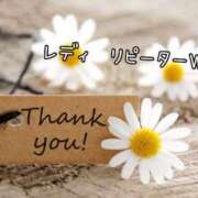 ヒメ日記 2025/12/21 14:18 投稿 なお 奥様メモリアル