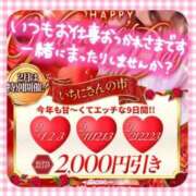 ヒメ日記 2026/02/12 16:48 投稿 なお 奥様メモリアル