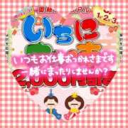 ヒメ日記 2026/03/01 11:33 投稿 なお 奥様メモリアル