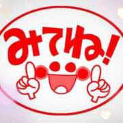 ヒメ日記 2026/03/29 16:03 投稿 なお 奥様メモリアル