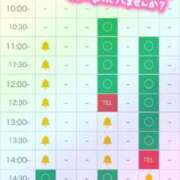 ヒメ日記 2026/04/11 10:48 投稿 なお 奥様メモリアル