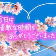 ヒメ日記 2026/04/11 15:18 投稿 なお 奥様メモリアル
