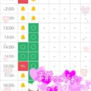 ヒメ日記 2026/05/30 10:48 投稿 なお 奥様メモリアル