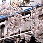 ヒメ日記 2025/04/04 16:40 投稿 まあや 美少女制服学園CLASSMATE　五反田校