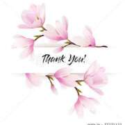 ヒメ日記 2025/01/03 16:00 投稿 るか 奥鉄オクテツ大阪