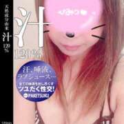 ヒメ日記 2025/05/29 12:45 投稿 るか 奥鉄オクテツ奈良