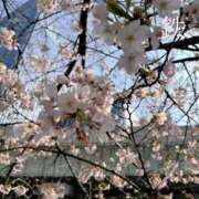 さつき 大事な瞬間 奥鉄オクテツ東京店（デリヘル市場）