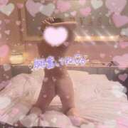 ヒメ日記 2025/03/13 09:18 投稿 ホシナ SCREEN(スクリーン)