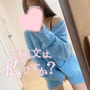 ヒメ日記 2025/08/08 10:51 投稿 ホシナ SCREEN(スクリーン)