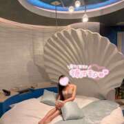 ホシナ ⭐️12月の出勤予定⭐️ SCREEN(スクリーン)