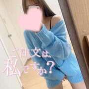 ヒメ日記 2026/04/11 10:18 投稿 ホシナ SCREEN(スクリーン)