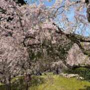 ヒメ日記 2025/03/27 14:12 投稿 吉丘百合香 五十路マダム金沢店