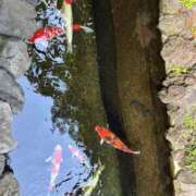 吉丘百合香 ご無沙汰してます?? 五十路マダム金沢店