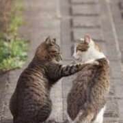 吉丘百合香 ネレナイ 五十路マダム金沢店