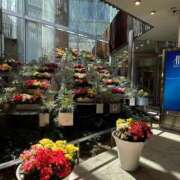 ヒメ日記 2026/03/21 13:10 投稿 吉丘百合香 五十路マダム金沢店